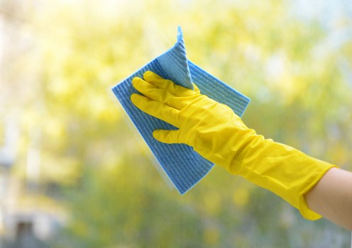 Upholstery and carpet stain removal in Kingsbury homes
