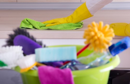 Specialist pet stain odour removal service in Kingsbury